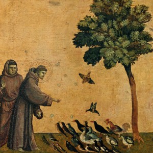 giotto saint françois et les oiseaux